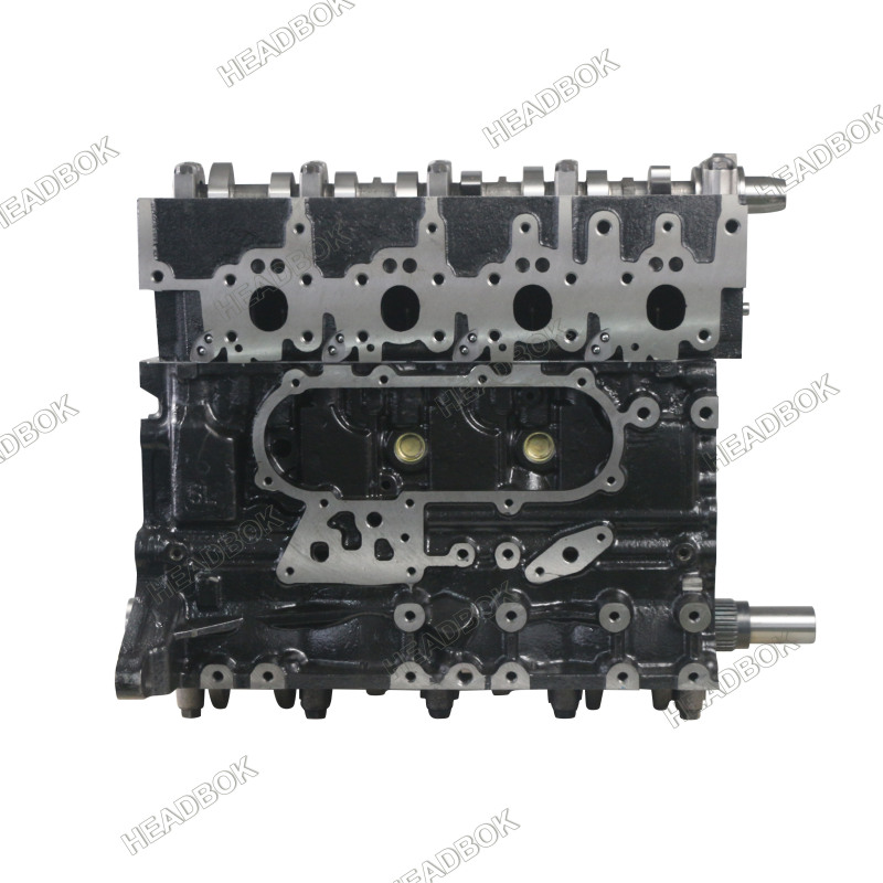 5L  Cylinder Long Block